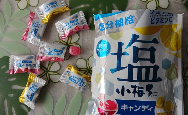 塩小梅 塩&レモン